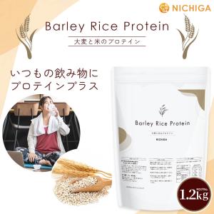 バーリー・ライスプロテイン 1.2kg 植物由...の詳細画像1