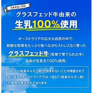 AUSホエイプロテイン グラスフェッド 500...の詳細画像4