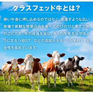 AUSホエイプロテイン グラスフェッド 500...の詳細画像5
