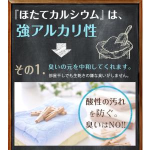ほたてカルシウム(貝殻焼成カルシウム) 500...の詳細画像5