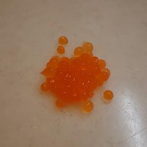 人工いくら実験セット 【メール便専用品】【送料...の詳細画像3