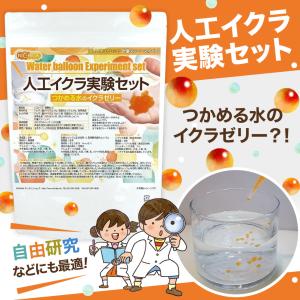 人工いくら実験セット 【メール便専用品】【送料...の詳細画像5