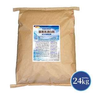 NICHIGA（ニチガ） 酸素系漂白剤 24kg 過炭酸ナトリウム 100% 大容量