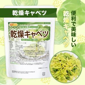乾燥キャベツ 350g 【メール便専用品】【送...の詳細画像3