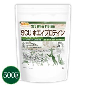 SCUホエイプロテイン WPC ハイスペックプロテイン 500g × 1袋の商品画像
