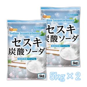 セスキ炭酸ソーダ 5ｋｇ×2袋 アルカリ洗浄剤 NICHIGA(ニチガ) TKJ
