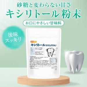 キシリトール XYLITOL 粉末 700g ...の詳細画像2