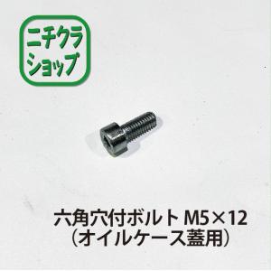六角穴付ボルト　M5×12（オイルケース蓋用）