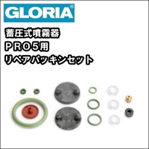 業務用 蓄圧式 噴霧器 スプレイヤー　グロリア ＰＲＯ５用　リペアパッキンセット　｜nichikurashop