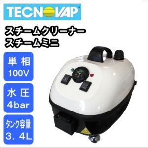 【送料無料】業務用 単相１００Ｖ スチーム クリーナー 洗浄機　テクノバップ スチームミニ｜nichikurashop