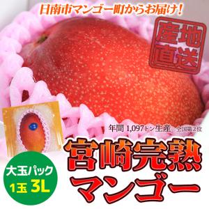 太陽のタマゴ 宮崎完熟マンゴー 大玉A3Lサイズ 約450g×2玉 箱入り 糖度