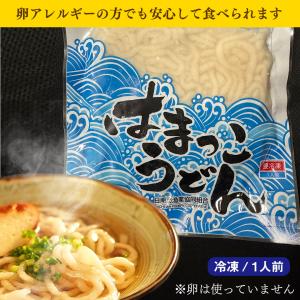 はまっこうどん（日南魚うどん） 1食分より発送できます！　日南市漁協女性部　保存料・卵不使用