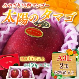 2026 ギフト 太陽のタマゴ 大玉3L 2玉 青秀品 宮崎県 完熟マンゴー 母