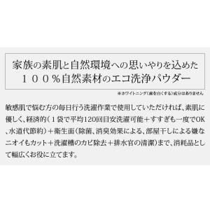 シェルミラックエコ洗濯パウダー120g 洗濯用...の詳細画像2