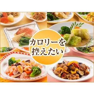 宅配 冷凍弁当 カロリーコース 2020秋冬【冷凍】　ニチレイフーズ