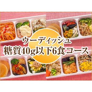 宅配 冷凍弁当 ウーディッシュ 糖質40g以下6食コース 2020秋冬【冷凍】ニチレイフーズ