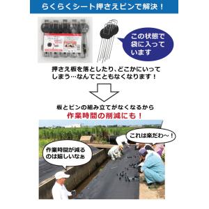防草シート ピン 押さえピン シート押さえ 除...の詳細画像3