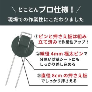防草シート ピン 押さえピン 太い プロ仕様 ...の詳細画像2