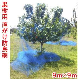 日本マタイ 防鳥網 直がけ 果樹用 6m×6m ブルーベリー サクランボ