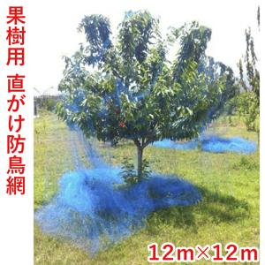 日本マタイ 防鳥網 直がけ 果樹用 12m×12m ブルーベリー サクランボ リンゴ 20mm目｜農・園芸資材のにちりきヤフー店