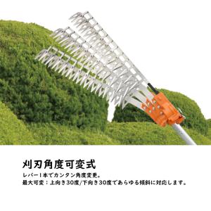 ニシガキ工業 太丸バリカン 充電式 高枝 生垣...の詳細画像3