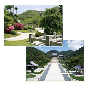 アートクリアファイル 仏教美術『参道 日本庭園』念仏宗無量寿寺(念佛宗)総本山 佛教之王堂 A4サイズ メール便対応