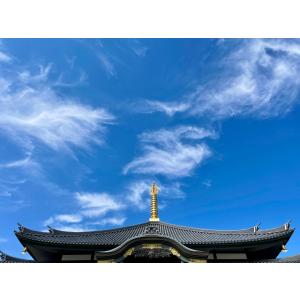 オプション【3平米 D・E区画】お供え(仏花、...の詳細画像2