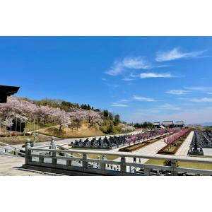 オプション【3平米 D・E区画】お供え(仏花、...の詳細画像4