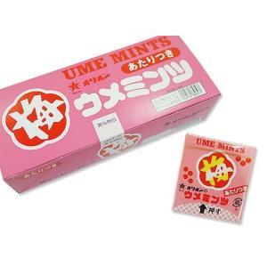 25cmのビッグな クリスマス 限定 お菓子 詰め合わせ 仮面ライダー