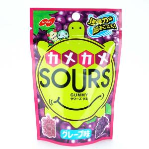 グミ 酸っぱい 食品 の商品一覧 通販 Yahoo ショッピング
