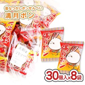 グリコ ビスコアソート アソートパック 大袋 2種類の味（8個入）お菓子