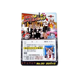 Pokemon X369【ポケモン カード】 イマクニ？ ノーマル 1ED EBB