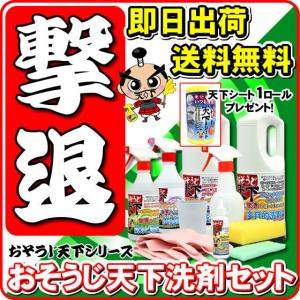 驚異のお風呂掃除 洗剤セット 水垢取り洗剤 水垢 落とし方 シンク お風呂 ウロコ取り 鏡 蛇口 洗剤もセットにお風呂掃除 に最適 LINEギフト