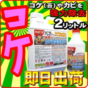 驚異 コケ取り剤 外壁 屋外 コケ 駆除 強力コケ取り剤 苔 除去剤 苔 コケカビ取り剤 コケ掃除 コケ取りスプレー コケ取り 方法なら 業務用を改良 おそうじ天下g 5996 101 Nic家電 水素水事業部 通販 Yahoo ショッピング