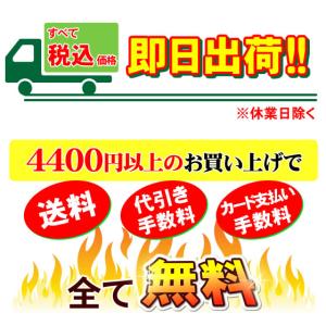 フジ医療器 FW-20CM トレビFWH-10...の詳細画像1