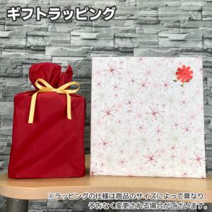 ReFa（リファ） ショッパー ノーマルS 2025 : MTGYahoo!ショッピング店