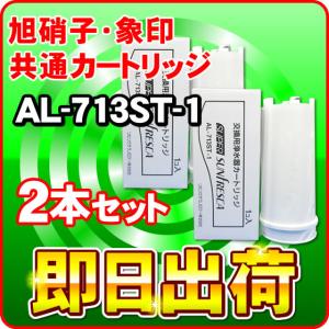 「2本セット」AL-304S1 後継カートリッジ AL-713ST-1 ミクロクラスタースーパー２ 交換カートリッジ 浄水フィルター｜nickangensuisosui