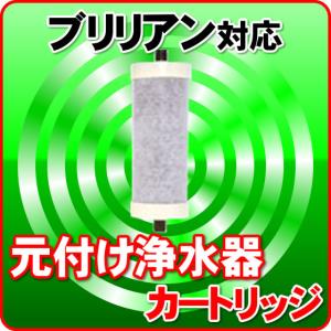 ブリリアン・H 元付け浄水器 戸建用（屋外） 浄水器カートリッジ｜東郷