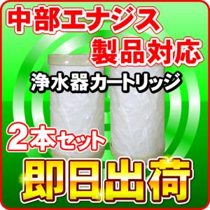 中性水素水整水器 アクティブ ビオ(ビオ2共通)交換カートリッジ【送料