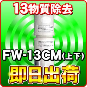 FW-13CM フジ医療器 純正カートリッジ トレビFW-507専用