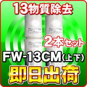 「2本セット」FW-13CM フジ医療器 純正カートリッジ トレビFW-507専用｜nickangensuisosui