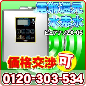 ＜新型・日本製＞ 電解水素水と次亜塩素酸水生成器（強酸性水タイプ）水素水生成器