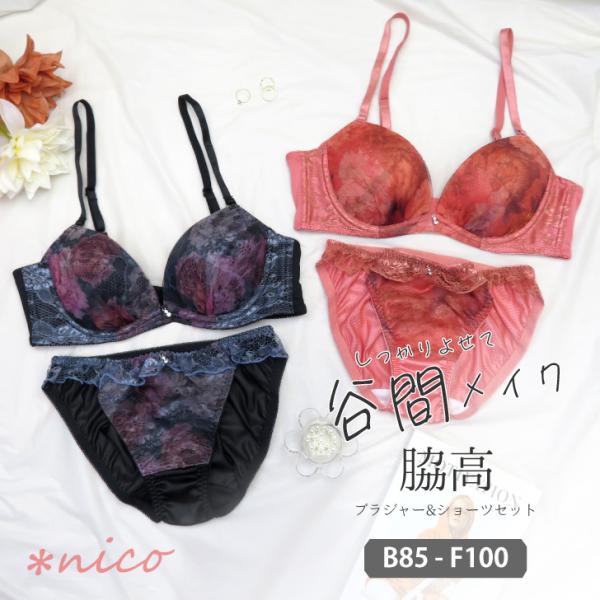 脇高 ブラジャー ＆ ショーツ セット 大きい サイズ 下着 女性 上下セット ブラセット B85 ...