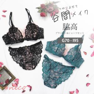 脇高 ブラジャー ＆ ショーツ セット 大きい サイズ 下着 女性 上下セット ブラセット G70-I95 [メール便不可]｜nicoインナーショップ