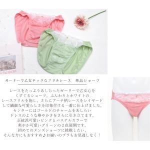 売り尽くし価格 男性用レースショーツ メンズシ...の詳細画像1
