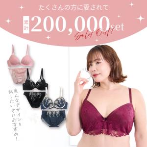 大きいサイズ 福袋 ブラジャー ショーツ 下着...の詳細画像1