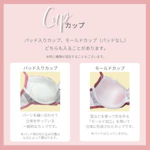 大きいサイズ 福袋 ブラジャー ショーツ 下着...の詳細画像4