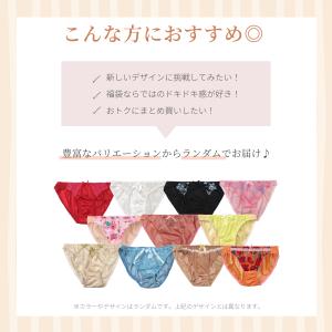 福袋 ショーツ M 〜 5L 5枚セット レデ...の詳細画像2