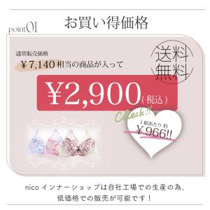 福袋 ブラジャー ショーツ セット 3組入り ...の詳細画像2