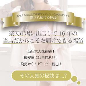 ブラジャー ショーツ 3枚組 福袋 B85-I...の詳細画像1